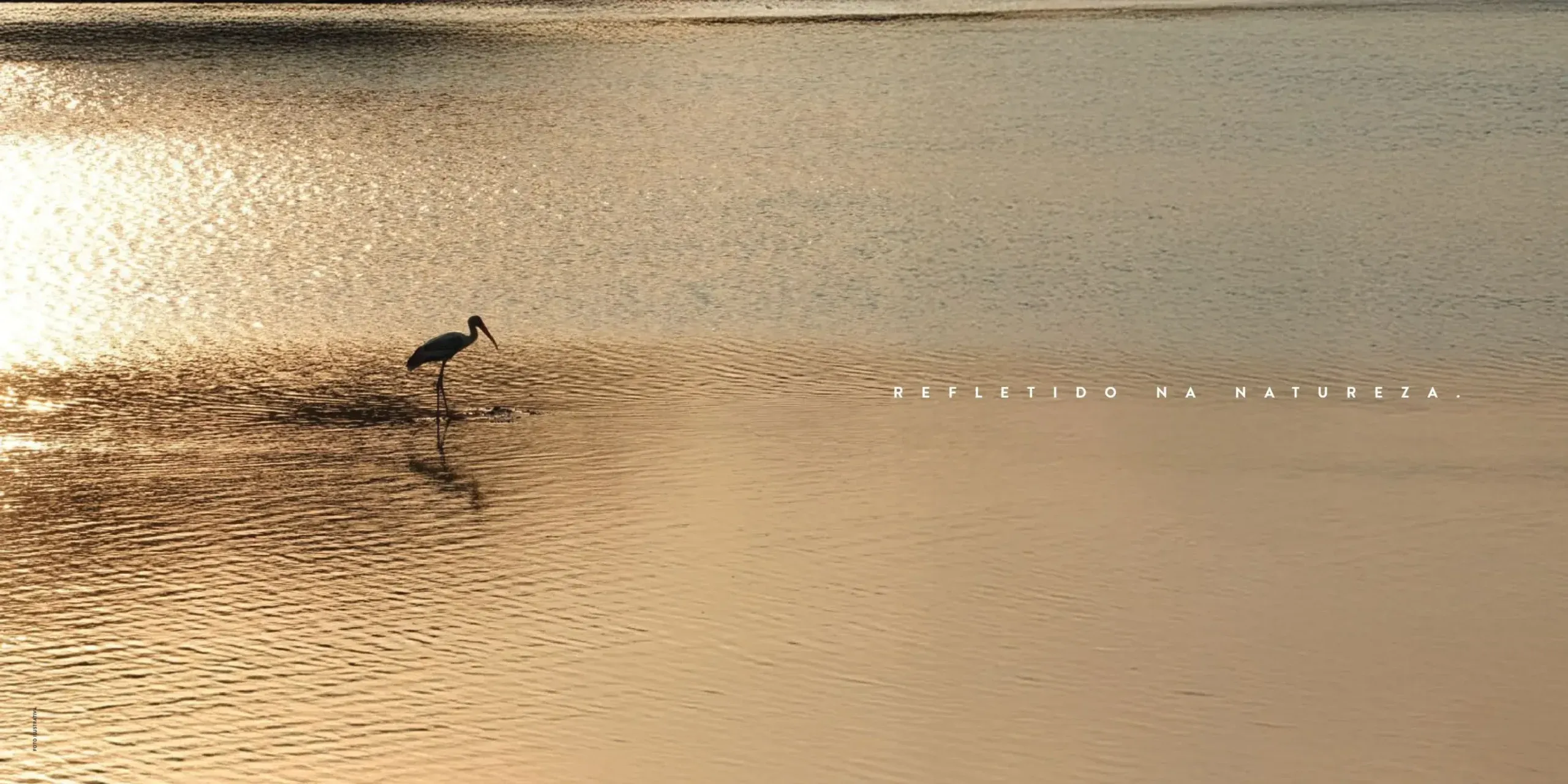 Foto ilustrativa Endless Península 3